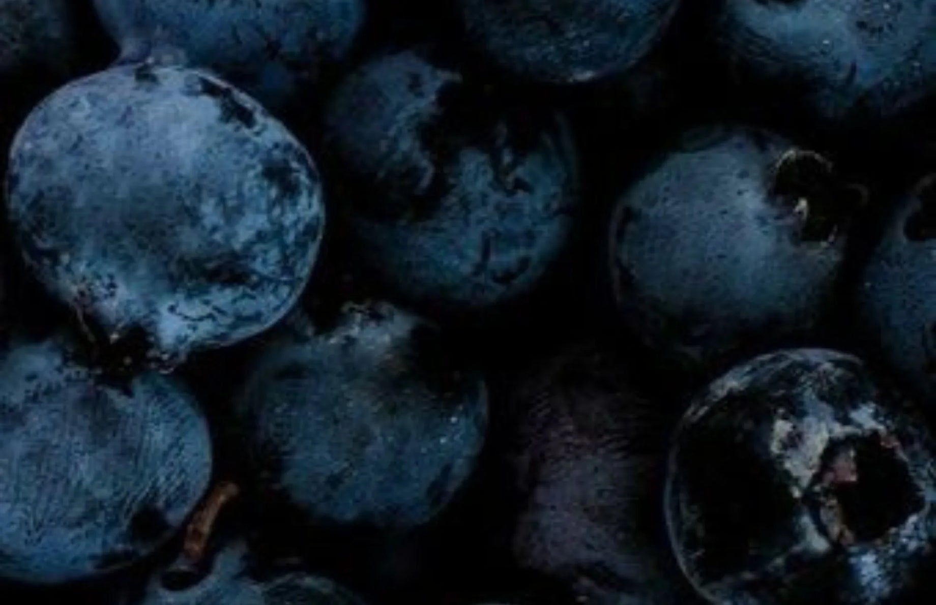 Close-up of fresh blueberries, a fiber-rich food that supports gut health alongside probiotics