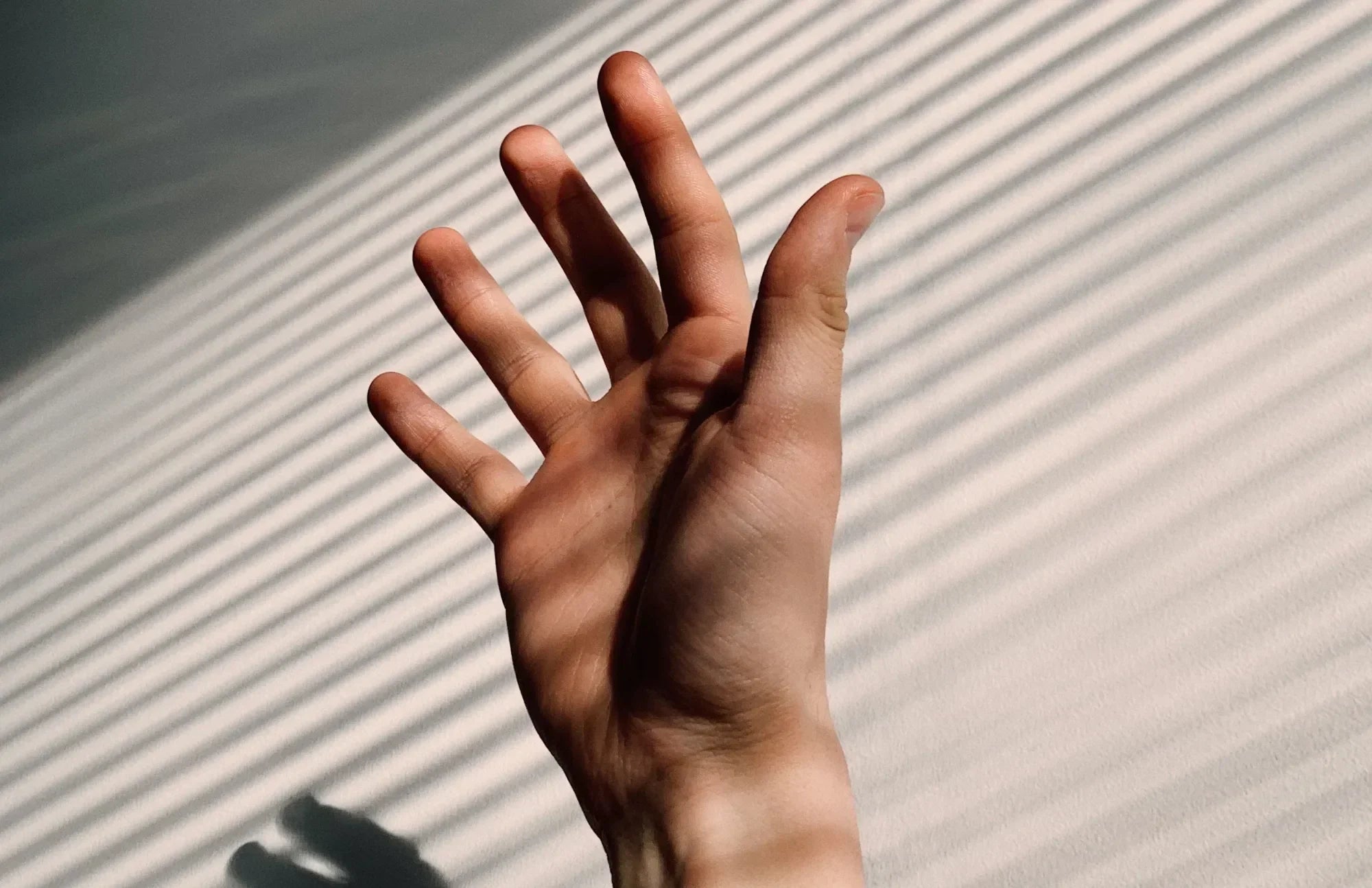 Open hand reaching toward sunlight, symbolizing mindfulness and the best time to take probiotics for optimal gut support
