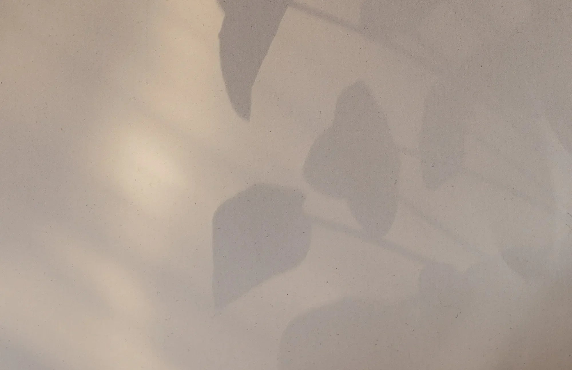 The Truth About Refrigerated Probiotics blog banner