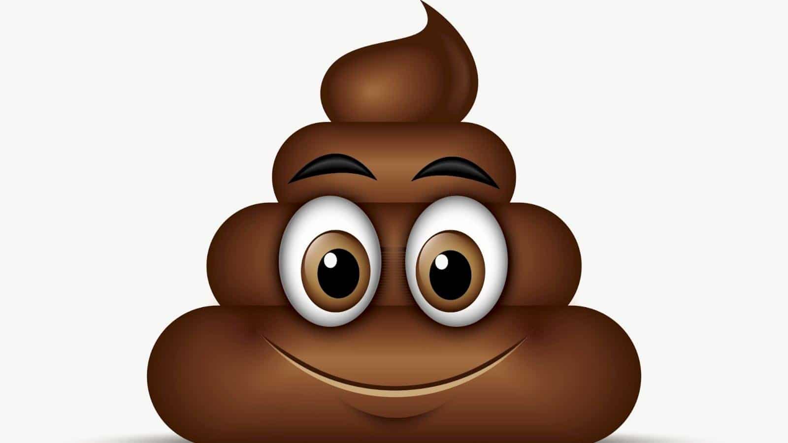 Custom Custom Size Poop Emoji Omnibiotic Blog